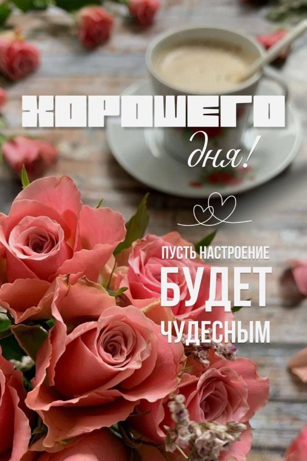 доброго дня красивые открытки