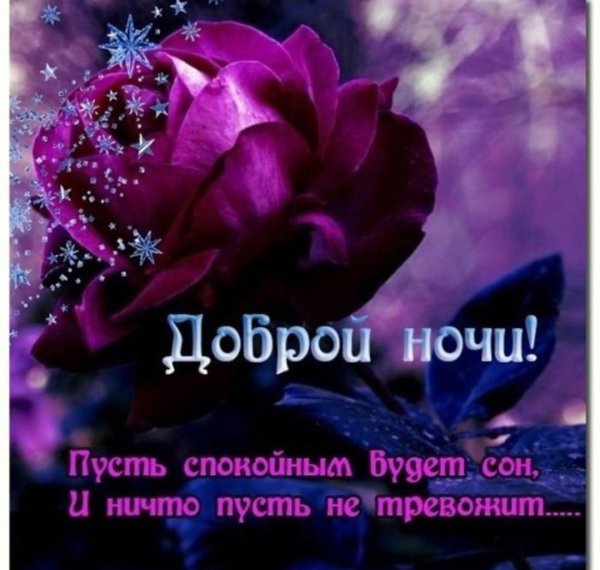 пожелание доброй ночи