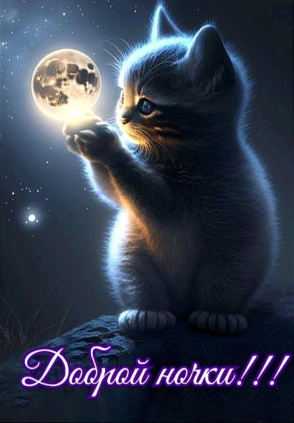 доброй ночи