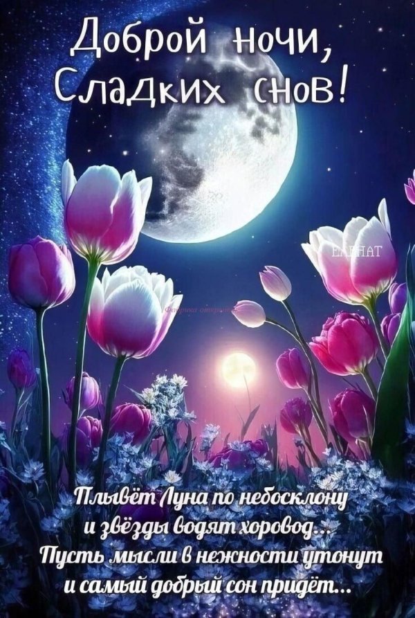 добрых сладких снов