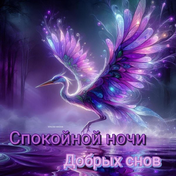 тик ток спокойной ночи пожелания