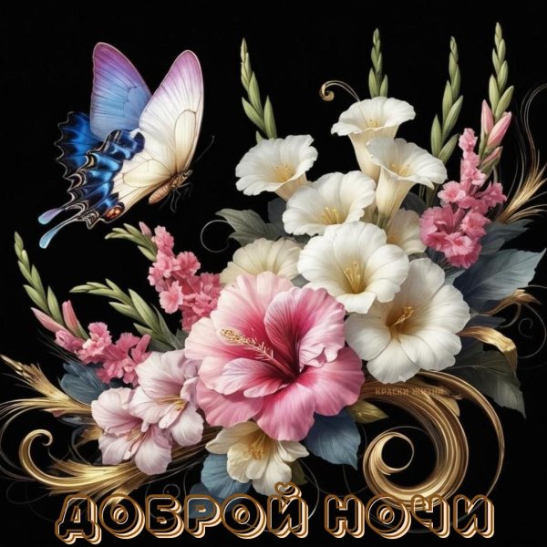 открытка с пожеланием доброй ночи