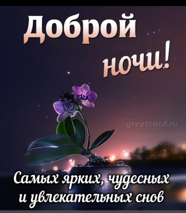 добрая ночь