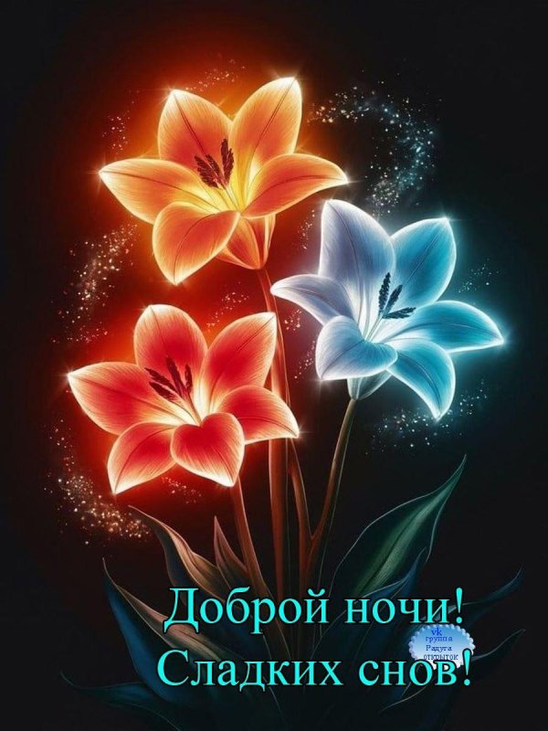 добрейшей ночки