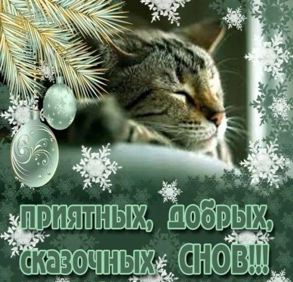 доброй зимней ночи