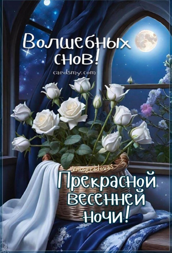 прекрасной ночи чудесного завтра