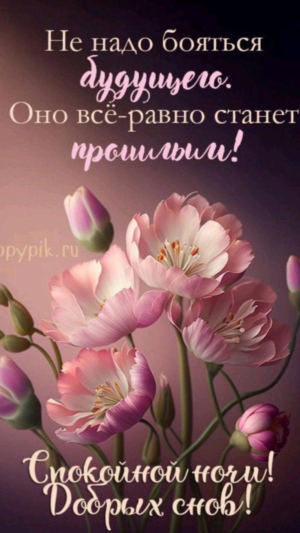 приятного сна