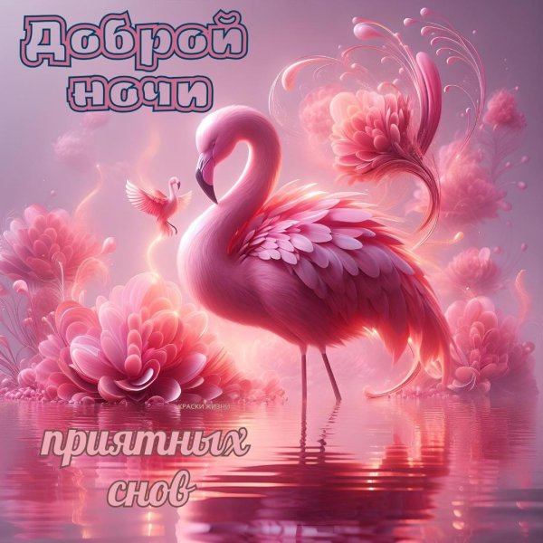 доброй ночи приятных снов красивые