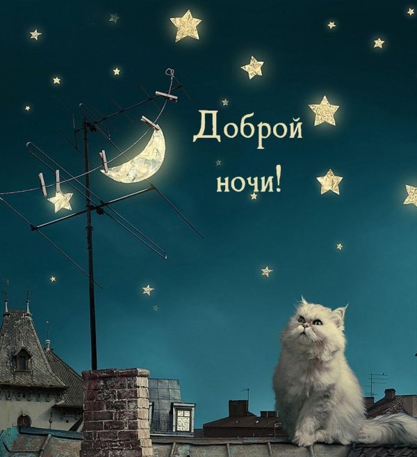 спокойная ночи