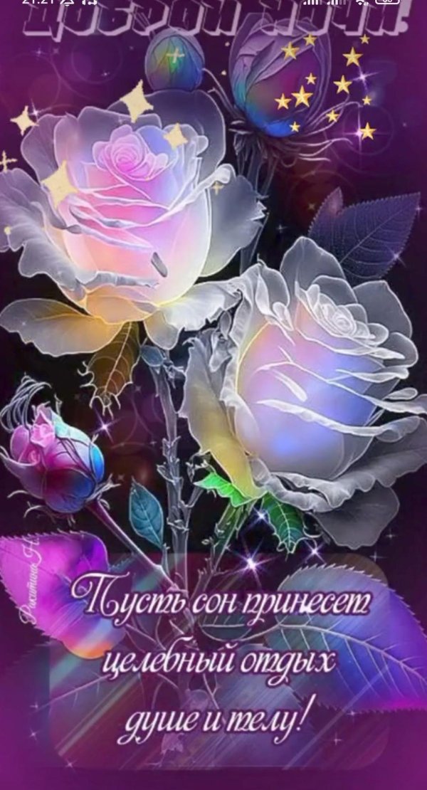 вечера доброго