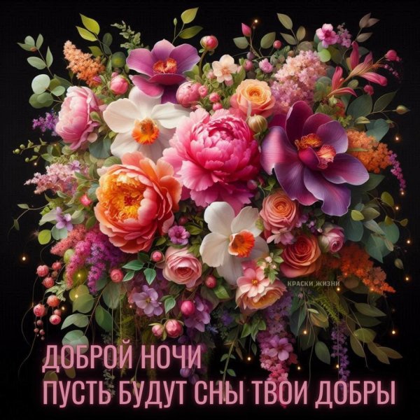 добрая ночь