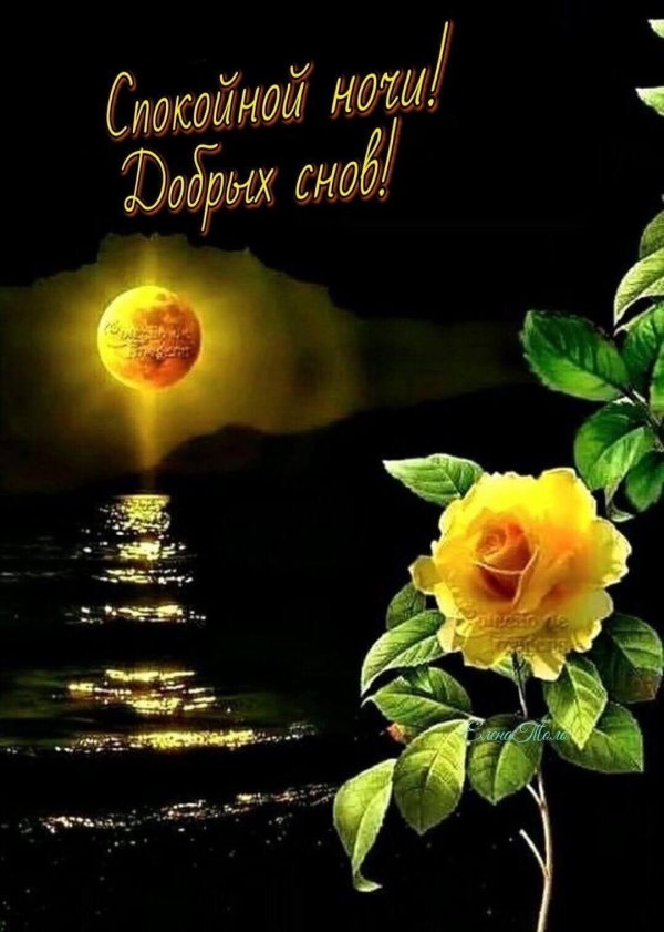 прекрасная ночь