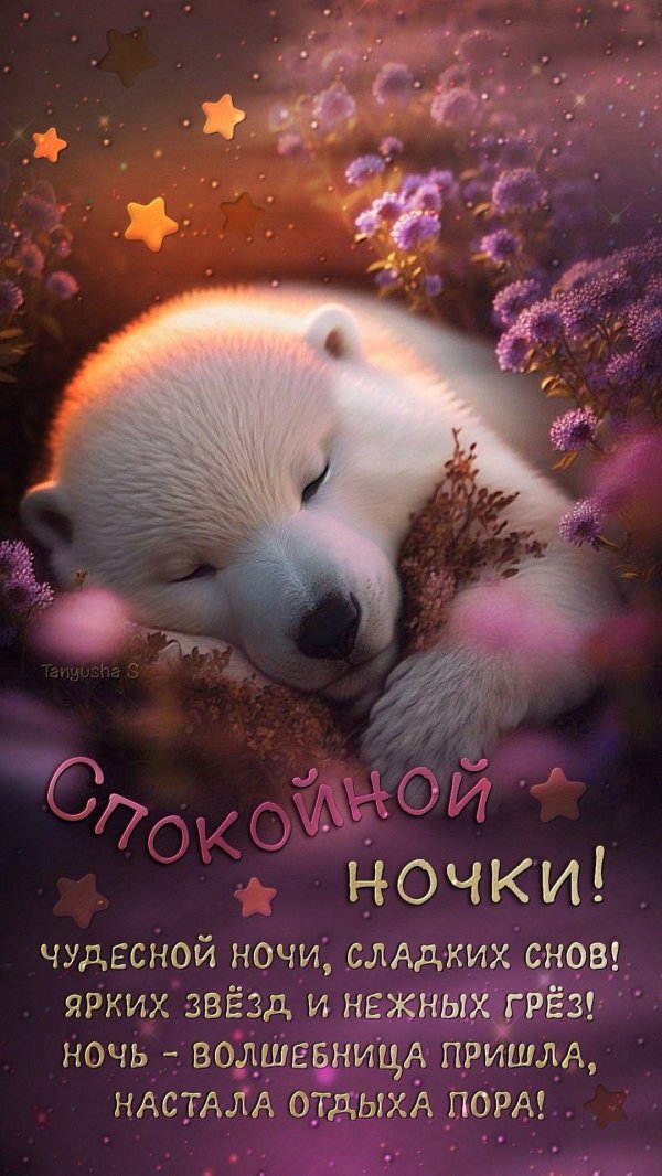 чудесной ночи сладких снов