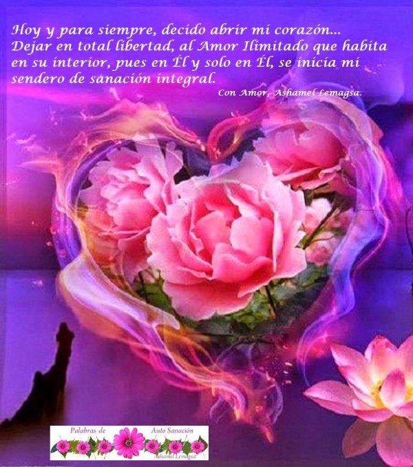 волшебные цветы