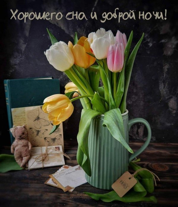 добрый вечер с тюльпанами