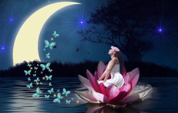 прекрасной ночи