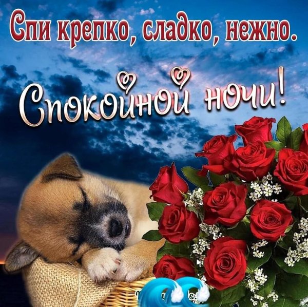 пожелания спокойной ночи с собаками