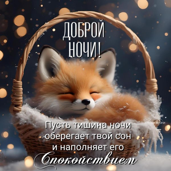 добрая ночь