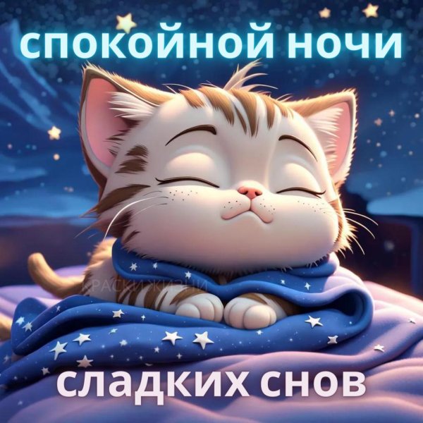 сладких добрых снов