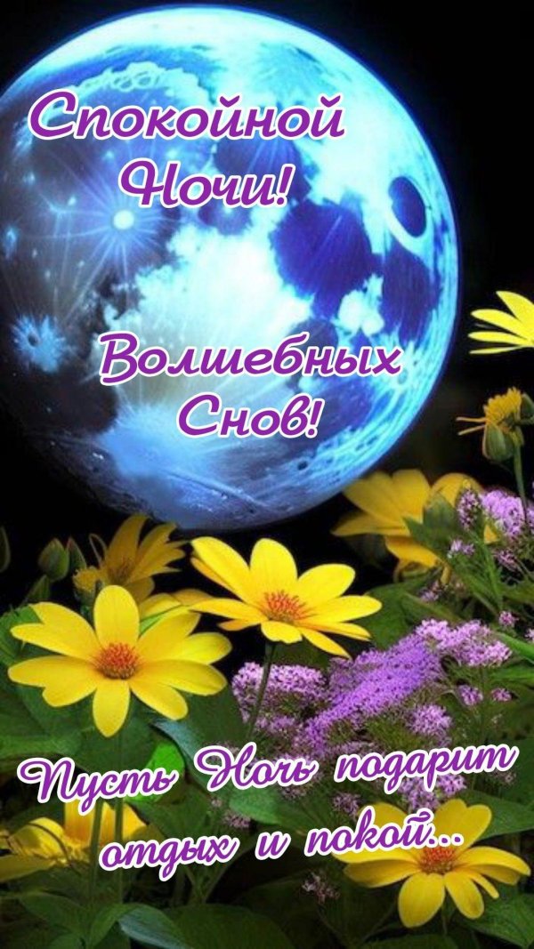 пусть ночь подарит