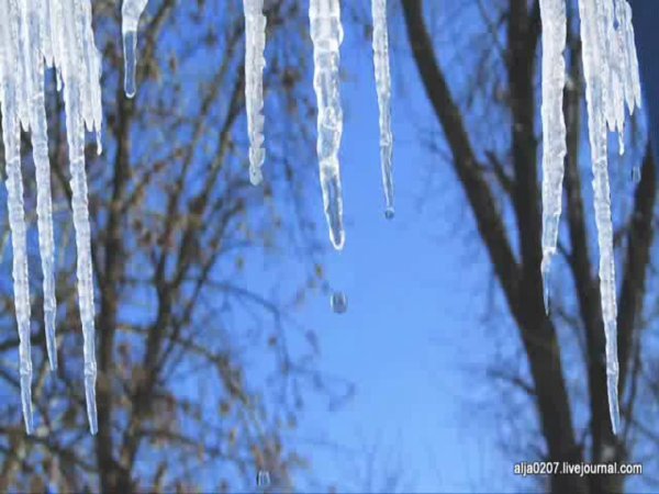 сосульки весной