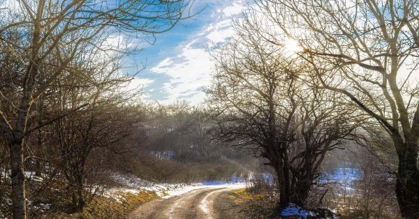 зимние пейзаж