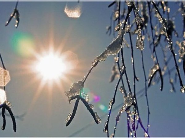 капель весенняя