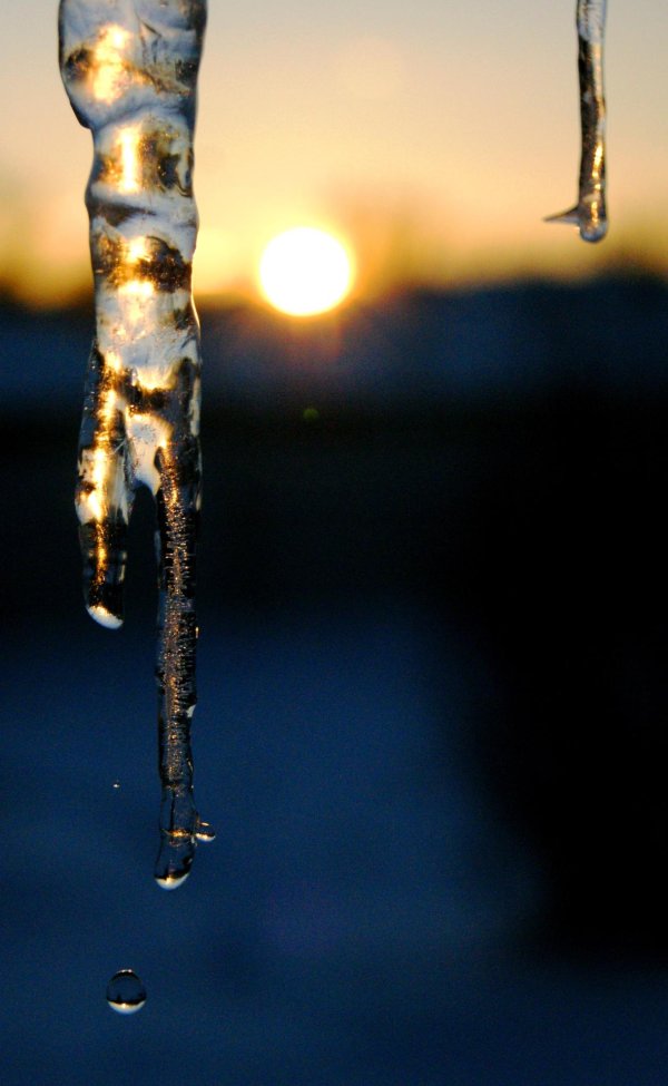 сосульки капель
