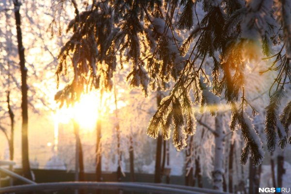 теплая зима