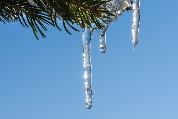 елка с сосульками