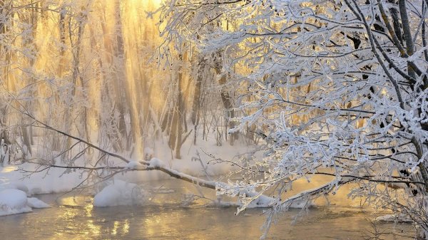 зимние пейзаж