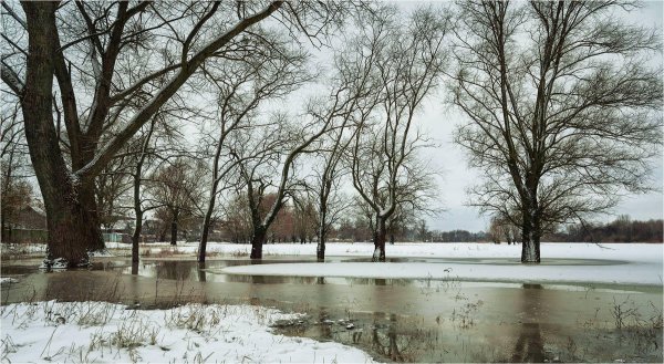 весенняя оттепель