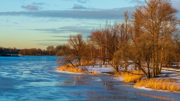 ранняя весна