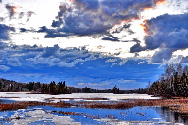 красивые пейзажи ранней весны