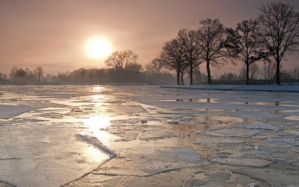 лед на пруду