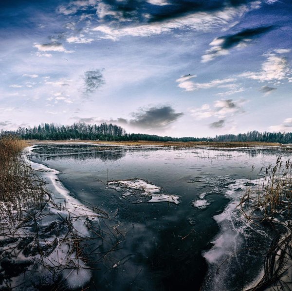 калищенское озеро сосновый бор