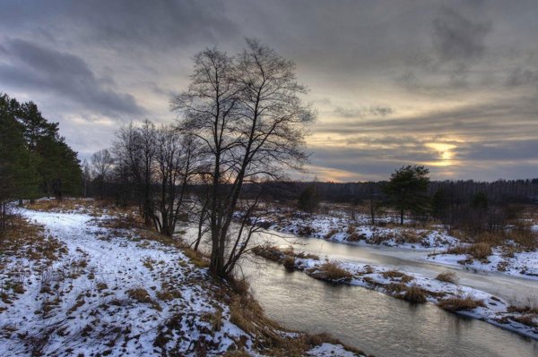 река шередарь владимирская область