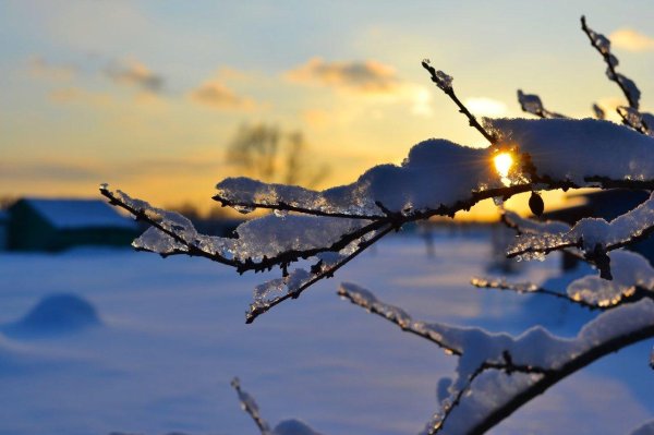 зима солнце