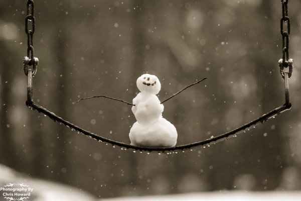 зимнее счастье