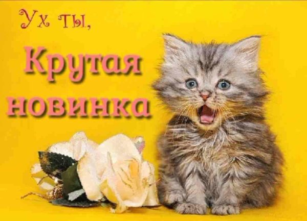 привет картинки