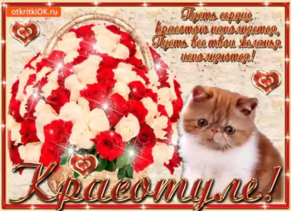 с днем красоты открытки