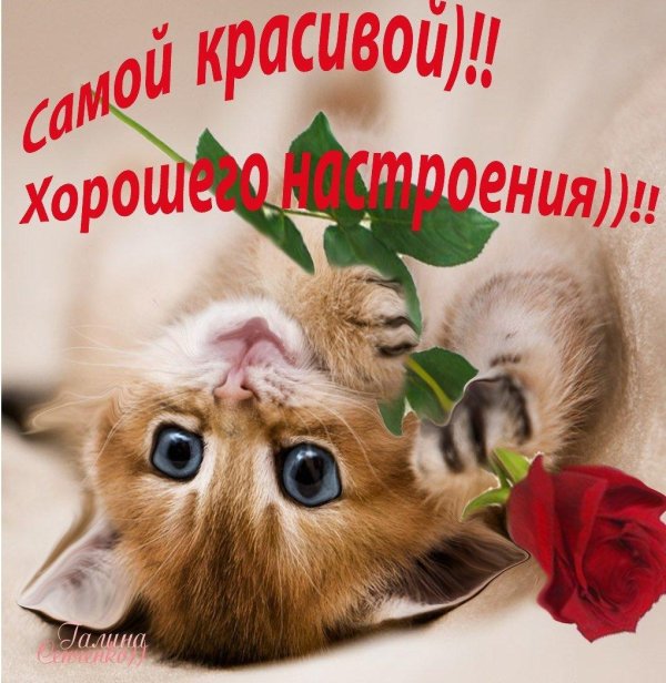 для хорошего настроения