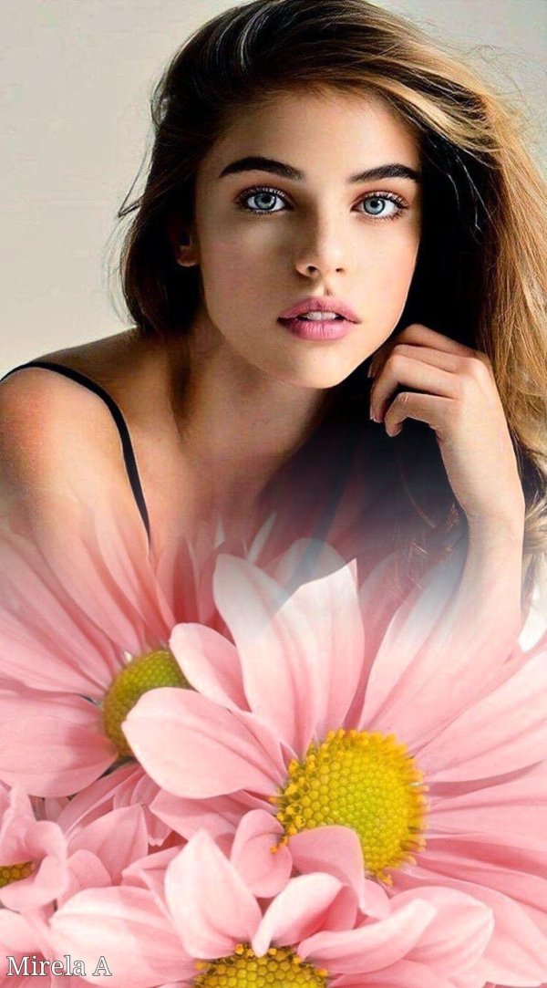 цветы красота