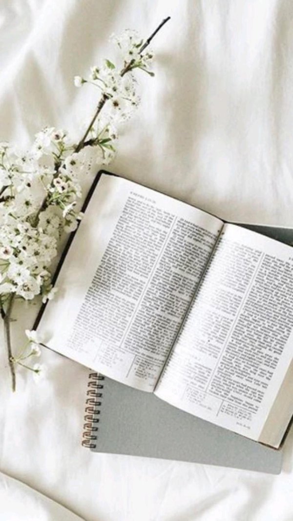 цветы книги