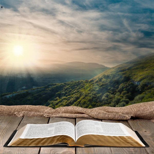 женщины библии