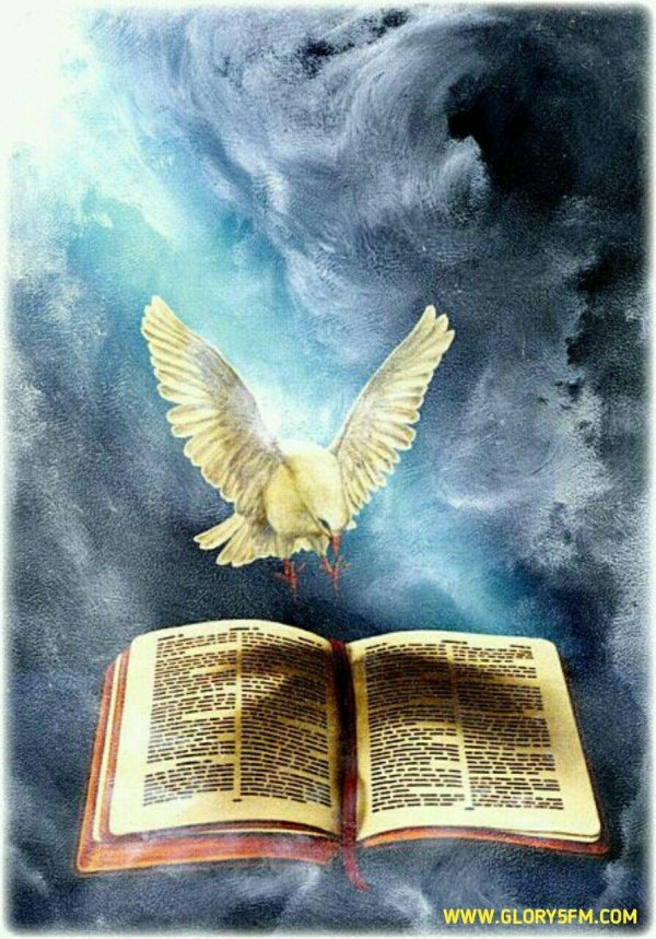 голубь святой дух