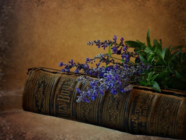 цветы книги