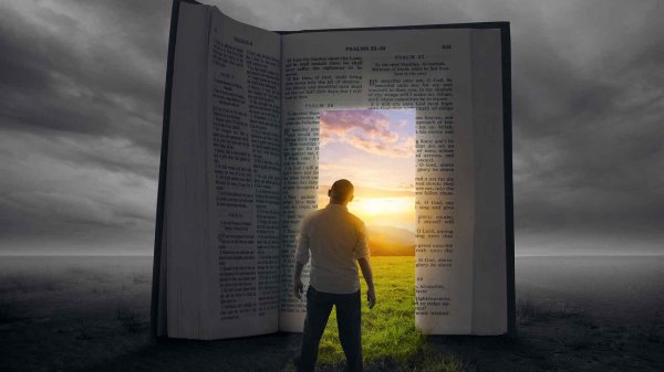 жизнь для книги