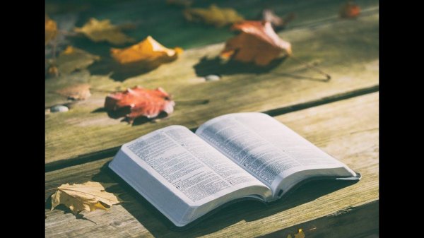 раскрытая библия