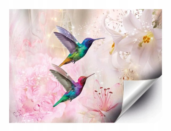 фотообои колибри